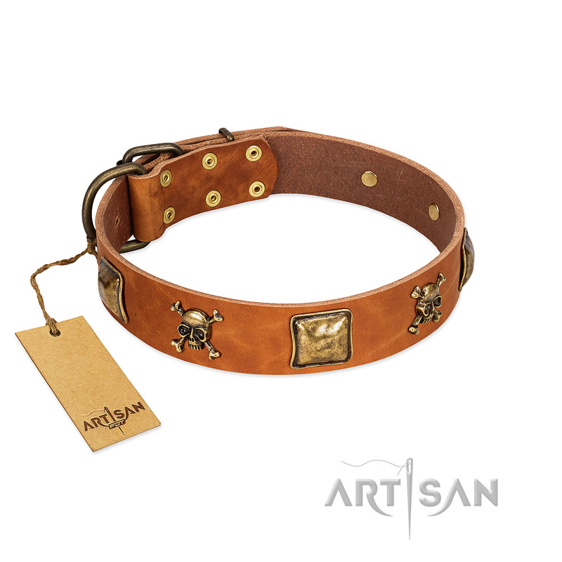 "Knights Templar" FDT Artisan Tan Leather Mastiff Collar with Skulls and Crossbones Combined with Squares