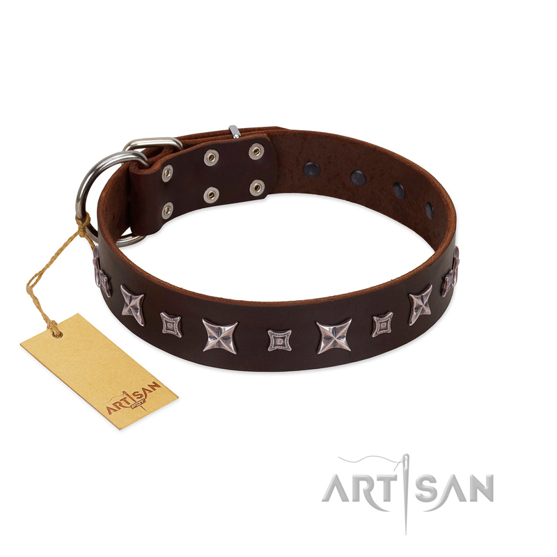 "Stellar Fairy " FDT Artisan Brown Leather Mastiff Collar with Chrome-plated Star-like Decorations
