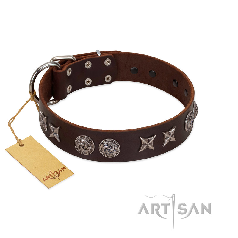 "Silver Sunset" Designer Handmade FDT Artisan Brown Leather Mastiff Collar