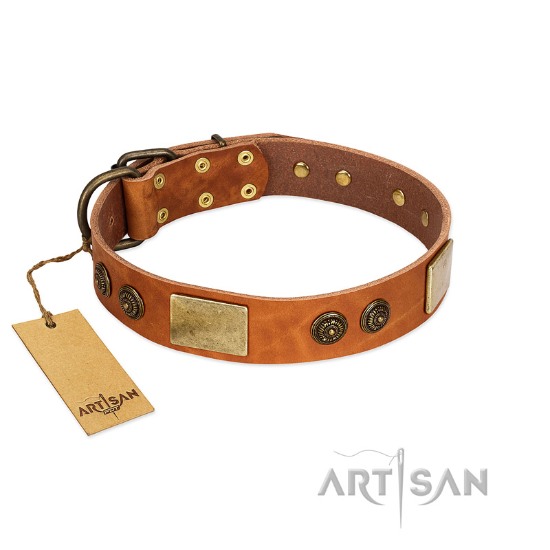 "Bronze Century" FDT Artisan Tan Leather Mastiff Collar with Plates and Brooches with Cool Ornament - Click Image to Close