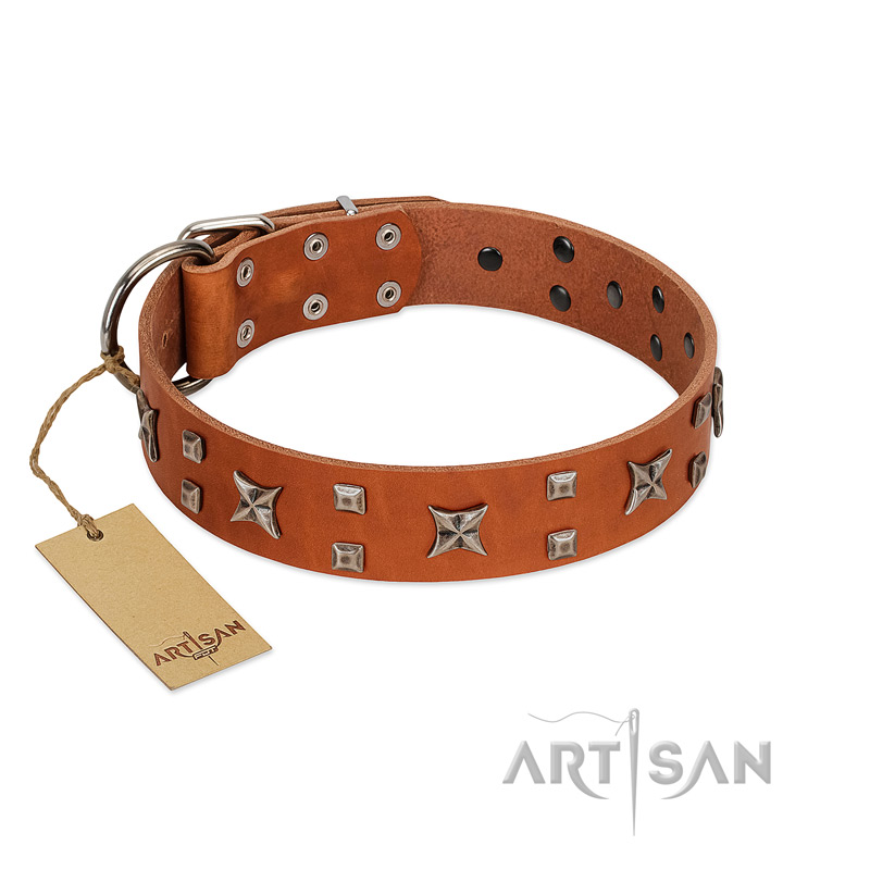 "Faraway Galaxy" FDT Artisan Tan Leather Mastiff Collar Adorned with Stars and Squares