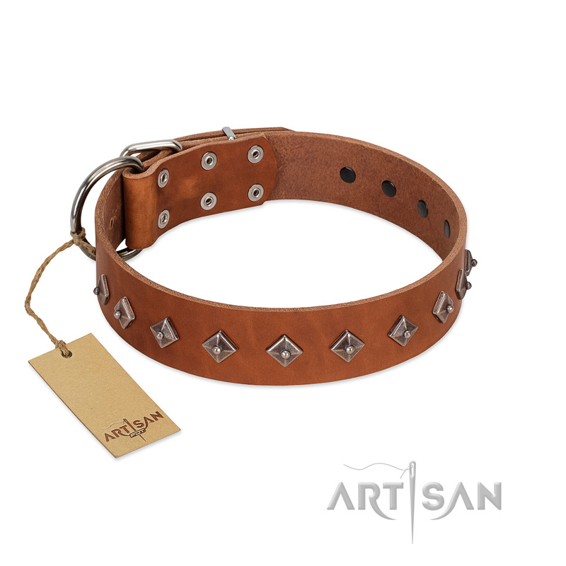 "Broadway" Handmade FDT Artisan Tan Leather Mastiff Collar with Dotted Pyramids
