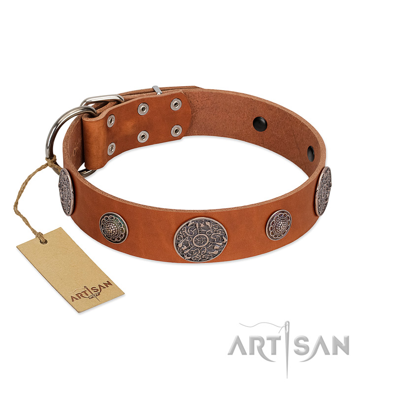 "Foxy Nature" FDT Artisan Tan Leather Mastiff Collar with Chrome Plated Brooches
