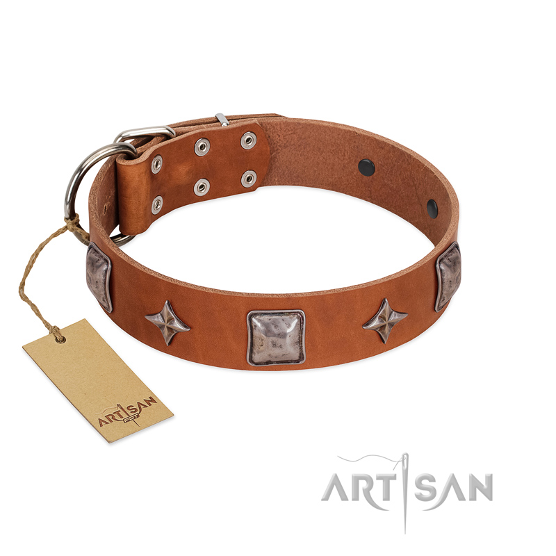 "Lucky Star" FDT Artisan Tan Leather Mastiff Collar with Silver-Like Embellishments