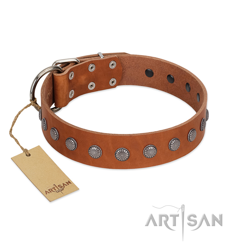 "Little Floret" Fashionable FDT Artisan Tan Leather Mastiff Collar with Silver-Like Adornments