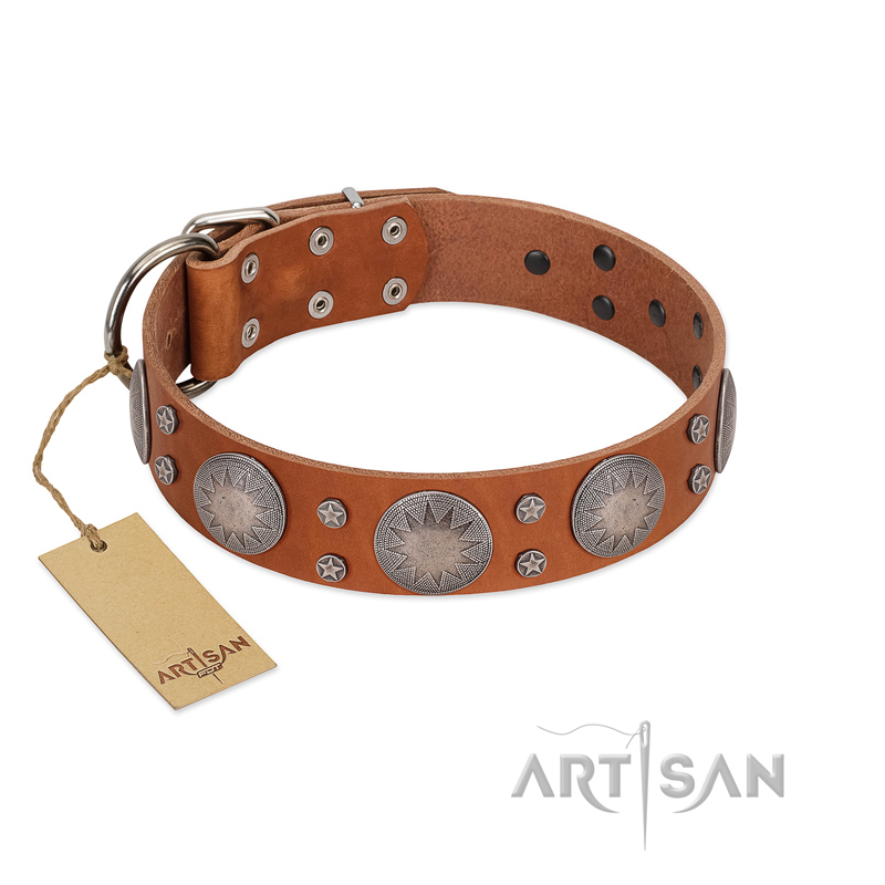 "Far Star" FDT Artisan Tan Leather Mastiff Collar with Engraved Studs