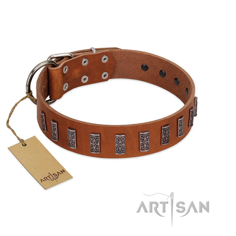 "Silver Century" Fashionable FDT Artisan Tan Leather Mastiff Collar with Silver-Like Plates