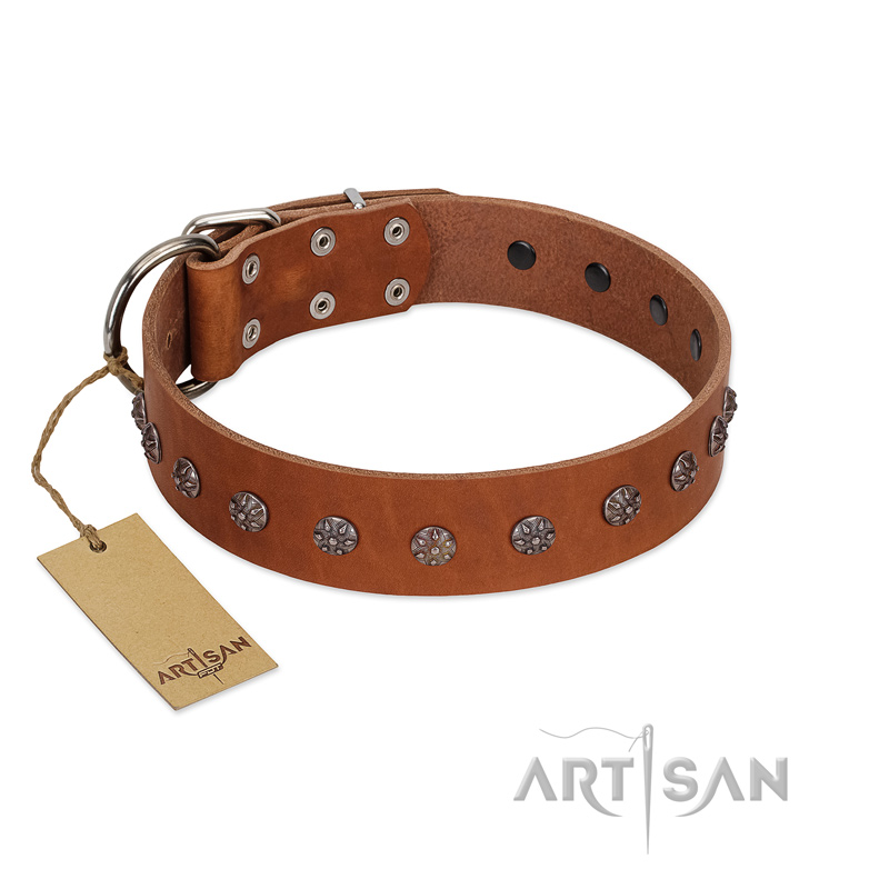 "Daintiness" Designer Handmade FDT Artisan Tan Leather Mastiff Collar with Silver-Like Adornments