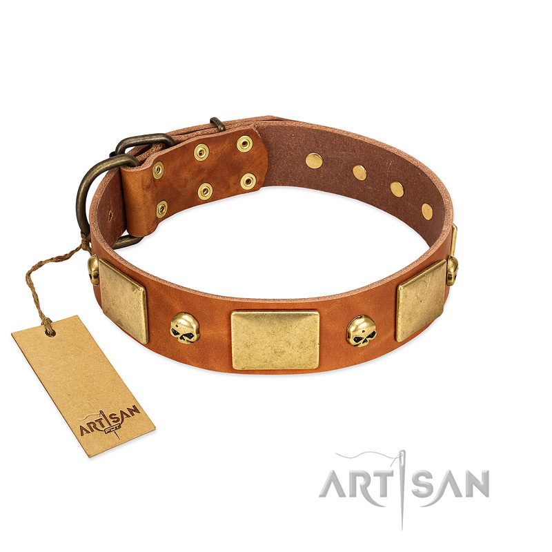 "Mutt The Daredevil" FDT Artisan Tan Leather Mastiff Collar with Old Bronze-like Skulls and Plates