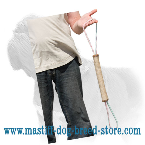 Mastiff Training Dog Bite Roll