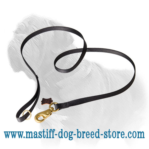 Super Multifunctional Mastiff Dog Lead of Nylon