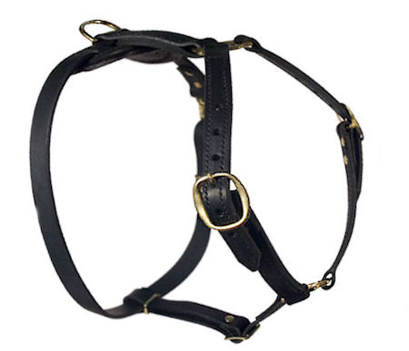 SENSATION Dog Harness for Mastiff walking