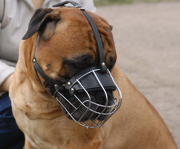 Mastiff Wire Basket dog muzzle