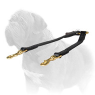 '2 Pets Walking' Mastiff Dog Coupler Leash