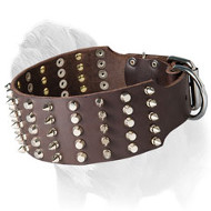 Super Wide Top Quality Mastiff Dog Collar with Spikes and Studs