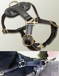 Found Leather tracking harnesses for Mastiff