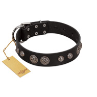 "Tricky Ricky" FDT Artisan Black Leather Mastiff Collar Adorned with Silver-Like Conchos
