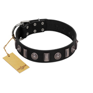 "Silver Spikes" Exclusive FDT Artisan Black Leather Mastiff Collar