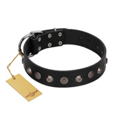 "Black Knight" Handmade FDT Artisan Black Leather Mastiff Collar with Silver-Like Studs