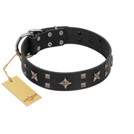 "Star Excitement" Modern FDT Artisan Black Leather Mastiff Collar with Studs and Stars