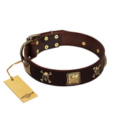 "Crazy Pirate" FDT Artisan Brown Leather Mastiff Collar with Old Bronze-Plated Skulls and Plates