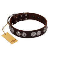 "High and Mighty" FDT Artisan Classy Brown Leather Mastiff Collar with Embellished Brooches