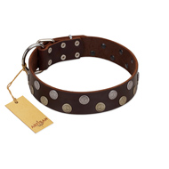 "Shadow Warrior" FDT Artisan Mystic Brown Leather Mastiff Collar with Runes