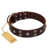 "Skull Valley" Handcrafted FDT Artisan Brown Leather Mastiff Collar with Skulls