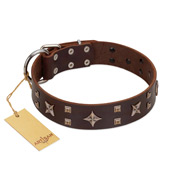 "Stars in Sands" Modern FDT Artisan Brown Leather Mastiff Collar with Studs and Stars