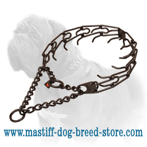 Black Prong Dog Collar of Stainless Steel