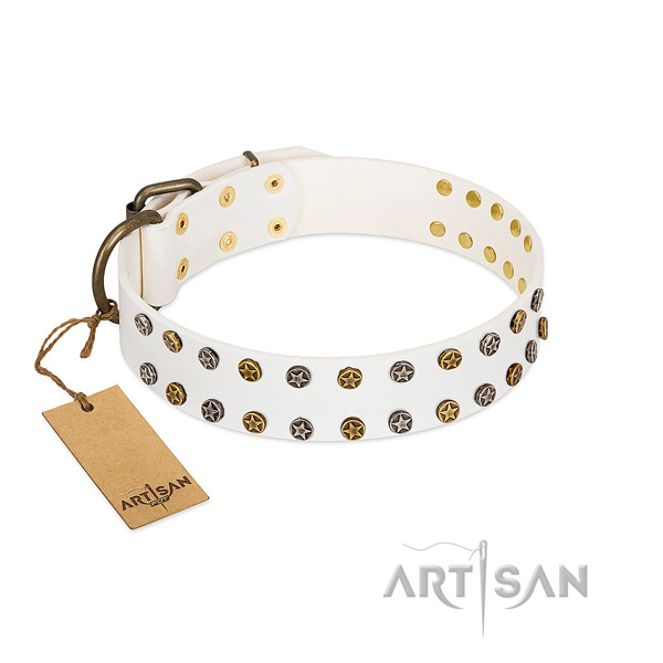 Top notch full grain genuine leather dog collar with durable adornments