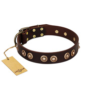 "Woofy Art" FDT Artisan Brown Leather Mastiff Collar Adorned with Old Bronze-like Studs