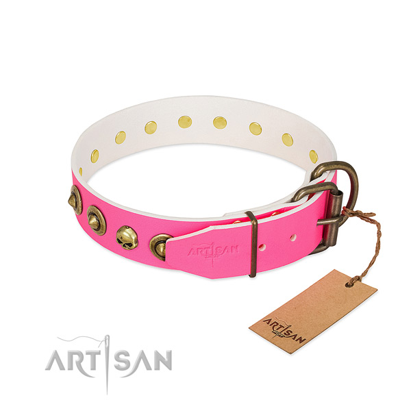 Full grain leather collar with fashionable adornments for your dog