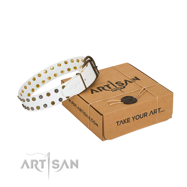 Extraordinary natural leather dog collar with corrosion resistant adornments