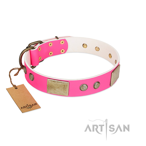 Adjustable full grain leather dog collar for everyday walking your dog
