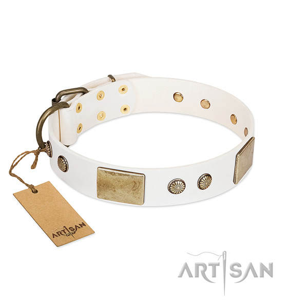 Easy to adjust natural leather dog collar for walking your pet