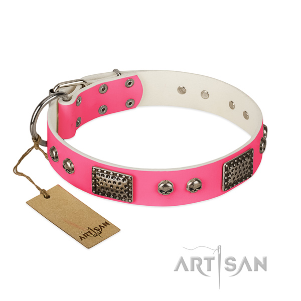 Easy to adjust natural leather dog collar for stylish walking your four-legged friend