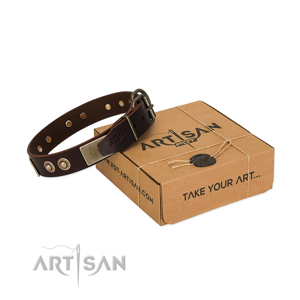 Durable traditional buckle on dog collar for everyday walking