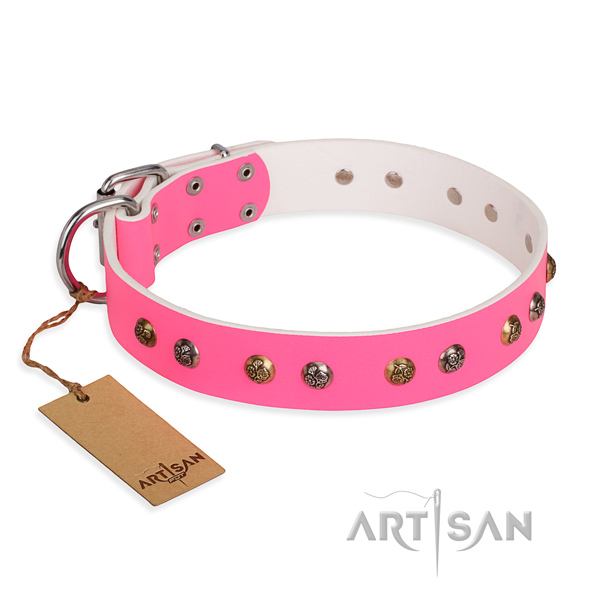 Fancy walking impressive dog collar with rust resistant hardware