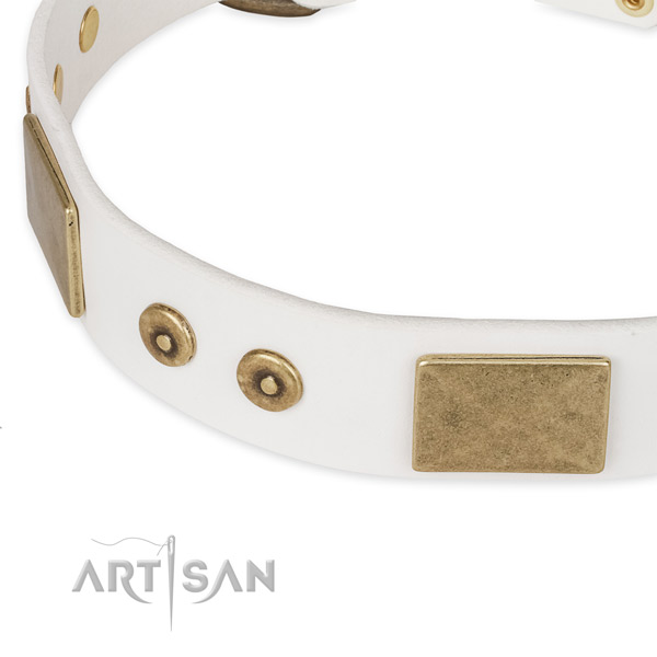 Rust resistant buckle on natural leather dog collar for your pet