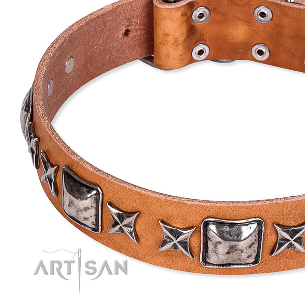 Stylish walking decorated dog collar of best quality full grain genuine leather