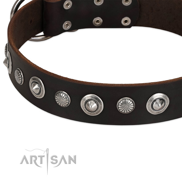 Exceptional embellished dog collar of quality leather