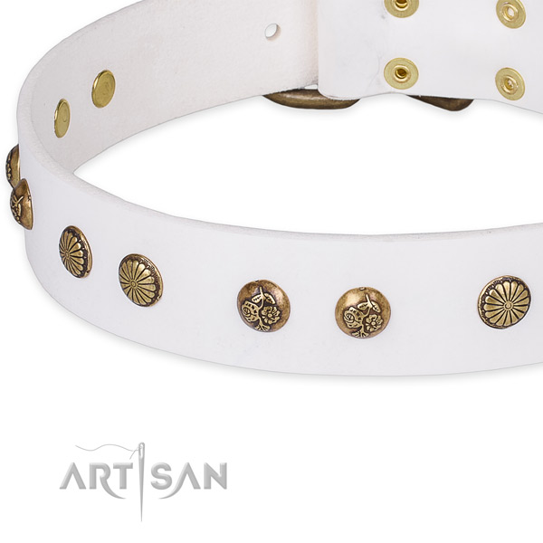 Full grain natural leather collar with strong fittings for your impressive four-legged friend