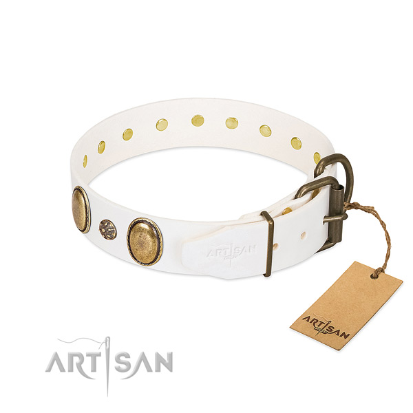 Daily walking quality full grain leather dog collar
