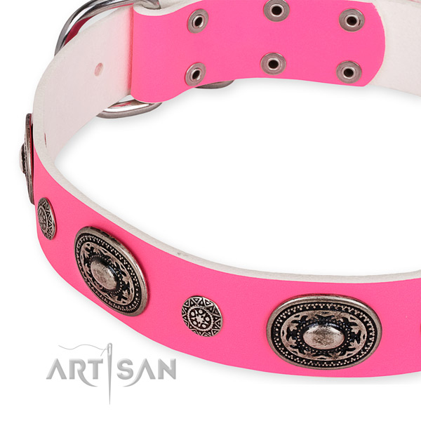 Leather dog collar with stylish reliable embellishments