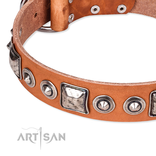 Flexible full grain leather dog collar crafted for your lovely canine