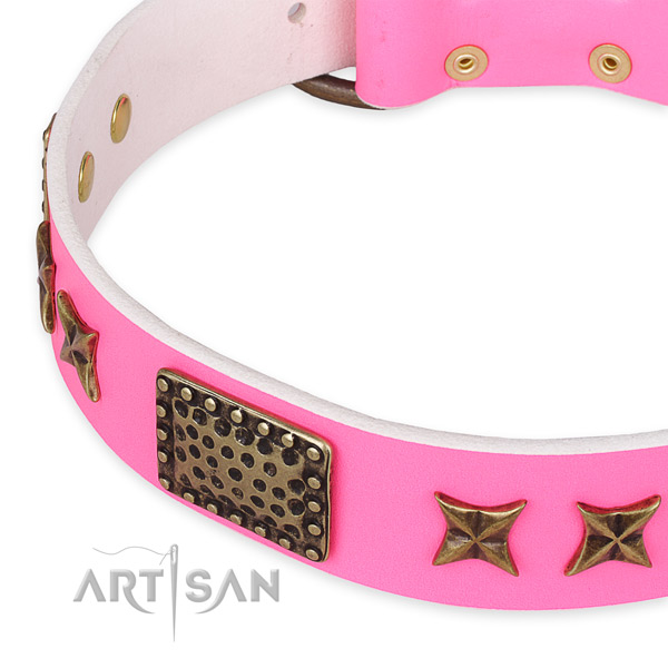 Genuine leather collar with reliable hardware for your stylish canine