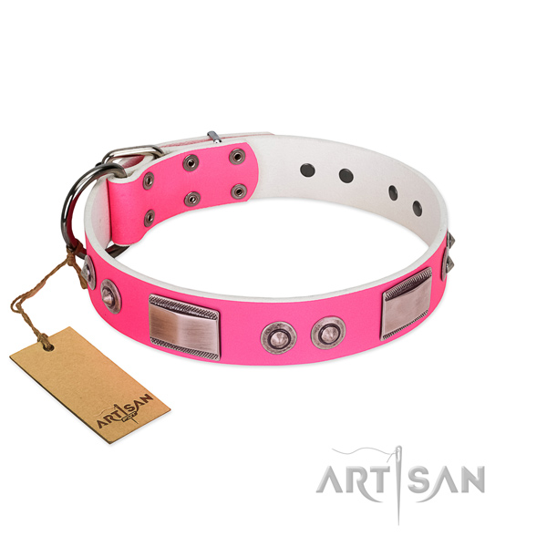 Incredible genuine leather collar with decorations for your dog