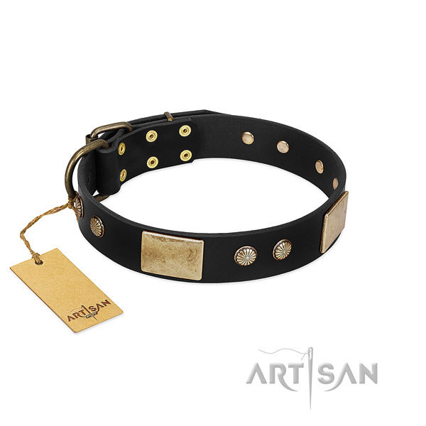 Exceptional genuine leather dog collar for daily walking