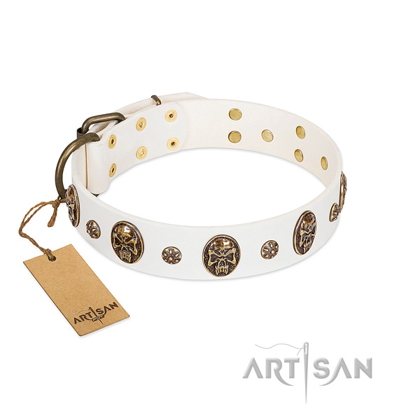 Embellished full grain natural leather collar for your four-legged friend